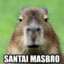 CAPYBARA MAS BRO