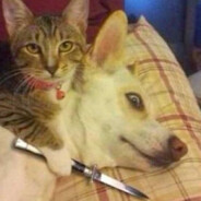 𝓐𝓭𝓪𝓶 ☝📿