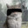 NicFree