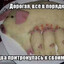УМНЫЕ ПЮРЕСЯТА