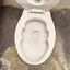 LeBron James Toilet