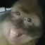 Fidzii_