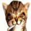 максим ларл's avatar