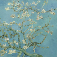 是回忆吹来的风