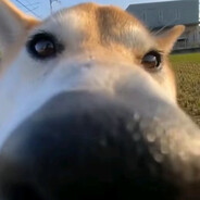 高筑墙，广积粮