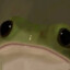 Sprout