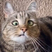 高科技无人驾驶