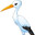 Stork27