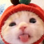 Каловая бомба ♡