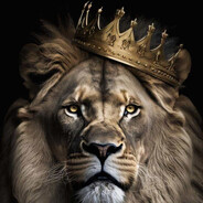 RDG09 SKINS - steam id 76561199565158502