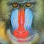 Mandrill