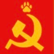 azeroy