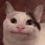 whyrex