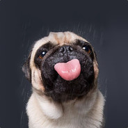 笨蛋，问题是经济