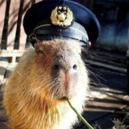 Капитан Капибара