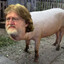 hatervalve77