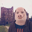 Juan Pork