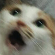 turs1 - steam id 76561198873188254