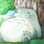 vvlnx轩