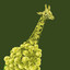 Grape Giraffe