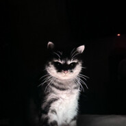 stOne - steam id 76561198998109247