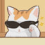 The cat with glasses