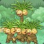 exeggutor_squad