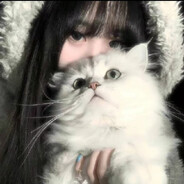 霾汁猫