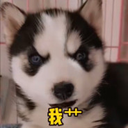 会飞的夺命快递