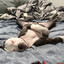 Relaximcaptain