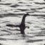 Loch Ness Monstah