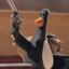 CrazyPenguin