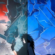 偷猫的闲鱼i66666666