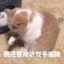 22块8毛6