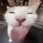 艾斯卡诺