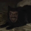 Arman&#039;DOs