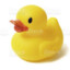 Patinho Quack Quack