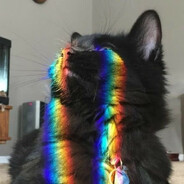 你该叫我什么？