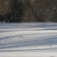 送你一朵小红花