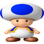Toad
