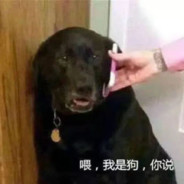 女朋友影响手速