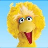 Big Bird