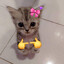Pishi