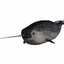 DerpyNarwhal301