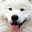 Eve!'s Avatar