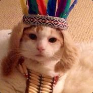 g0sut0 - steam id 76561197966780635