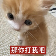 因为我是小猫咪