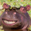 Senfgurke