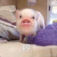 我才是那个最菜的