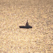 不想做内卷男孩